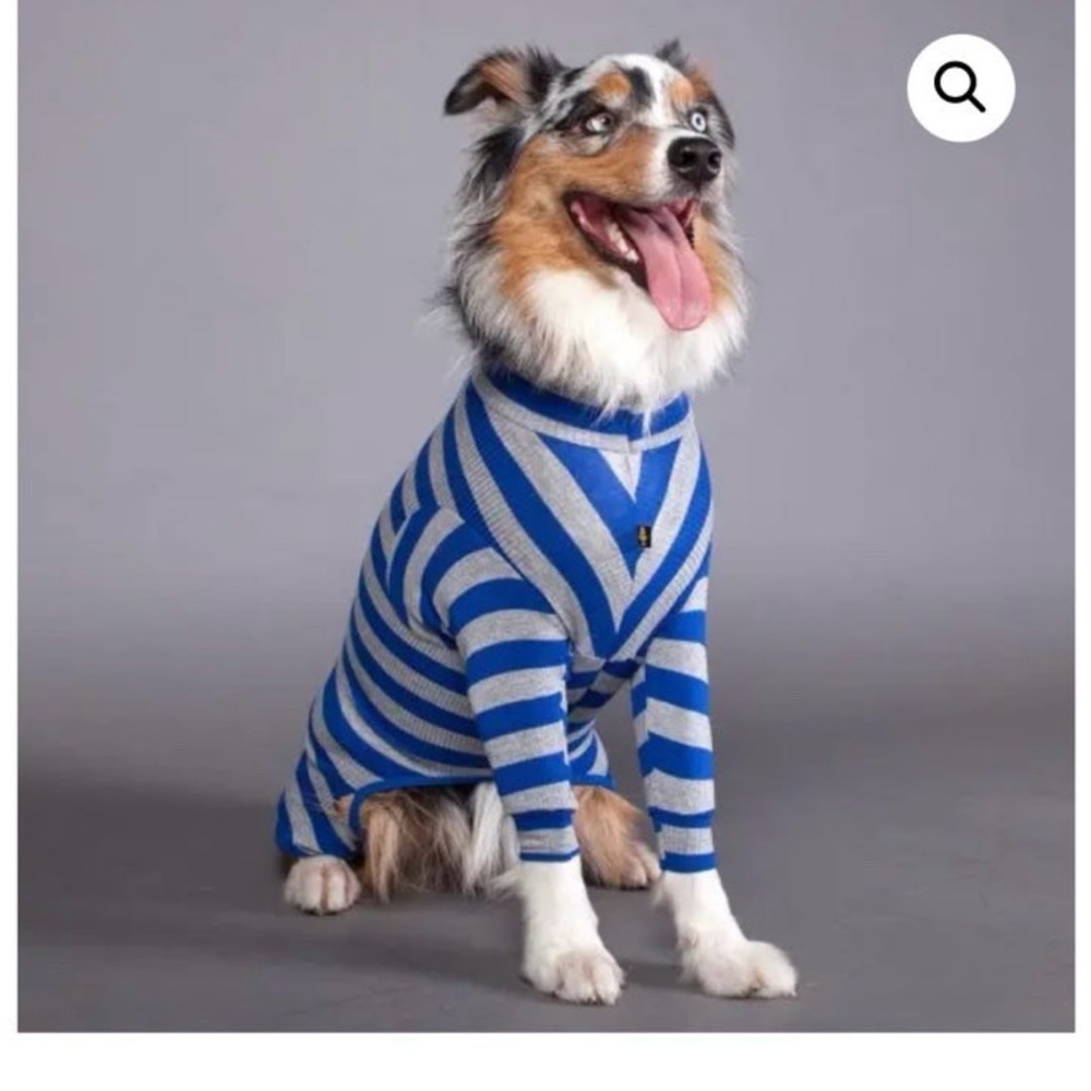 Dog PJs
